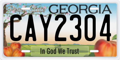 GA license plate CAY2304