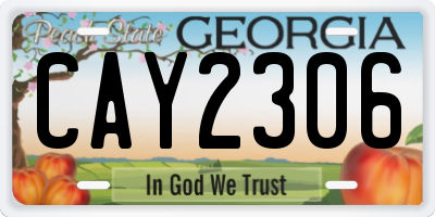 GA license plate CAY2306