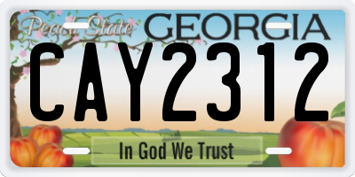 GA license plate CAY2312