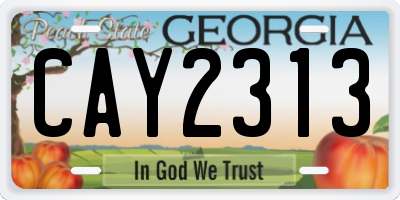 GA license plate CAY2313