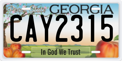 GA license plate CAY2315