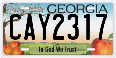 GA license plate CAY2317