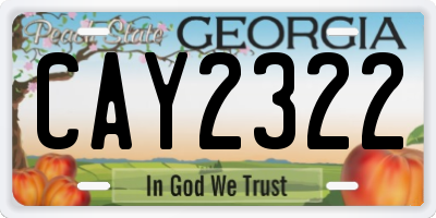 GA license plate CAY2322