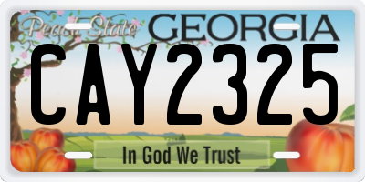 GA license plate CAY2325