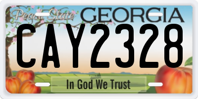 GA license plate CAY2328