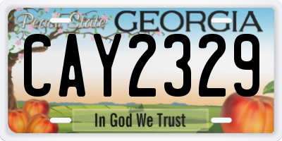 GA license plate CAY2329