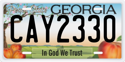 GA license plate CAY2330