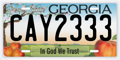 GA license plate CAY2333