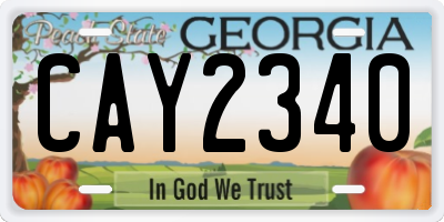 GA license plate CAY2340