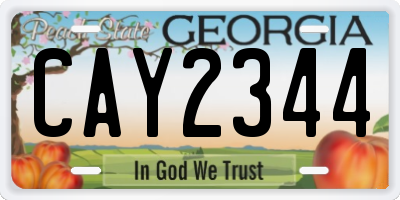 GA license plate CAY2344