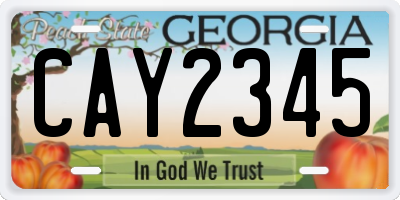 GA license plate CAY2345