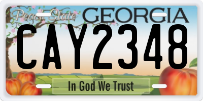 GA license plate CAY2348