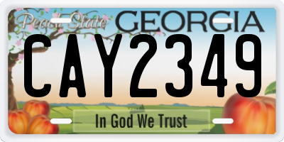 GA license plate CAY2349