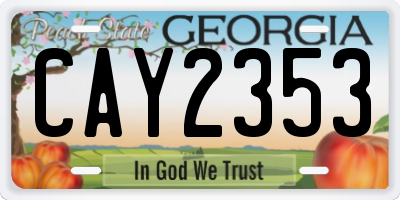 GA license plate CAY2353