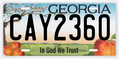 GA license plate CAY2360