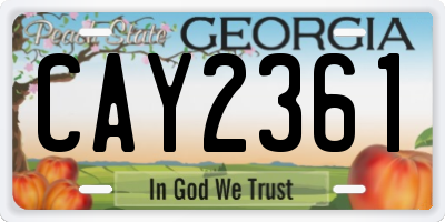 GA license plate CAY2361