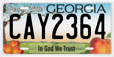 GA license plate CAY2364
