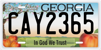 GA license plate CAY2365