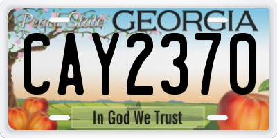GA license plate CAY2370