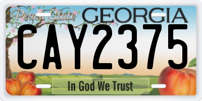GA license plate CAY2375