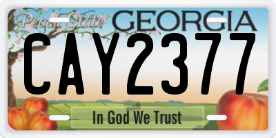 GA license plate CAY2377
