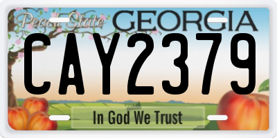 GA license plate CAY2379