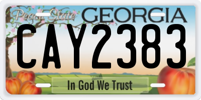 GA license plate CAY2383