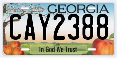 GA license plate CAY2388