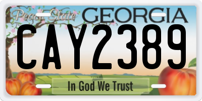 GA license plate CAY2389