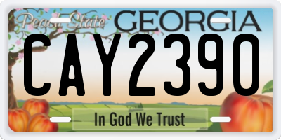 GA license plate CAY2390