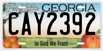 GA license plate CAY2392