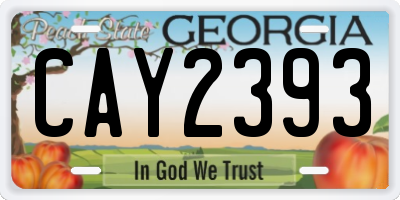 GA license plate CAY2393