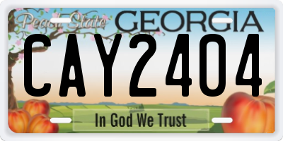 GA license plate CAY2404