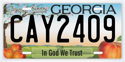 GA license plate CAY2409