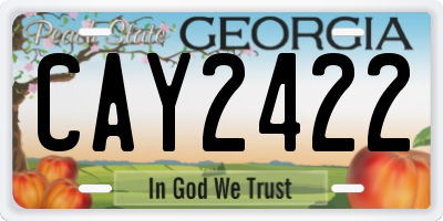 GA license plate CAY2422