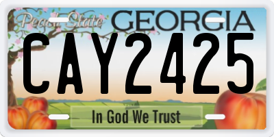 GA license plate CAY2425