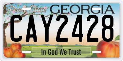 GA license plate CAY2428