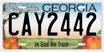 GA license plate CAY2442