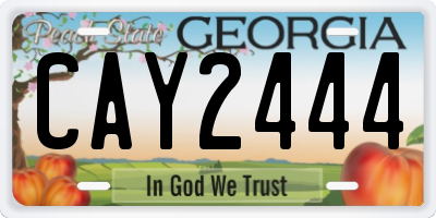 GA license plate CAY2444
