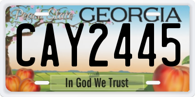GA license plate CAY2445