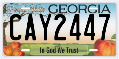 GA license plate CAY2447