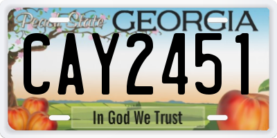 GA license plate CAY2451