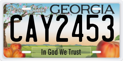 GA license plate CAY2453