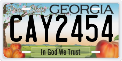GA license plate CAY2454