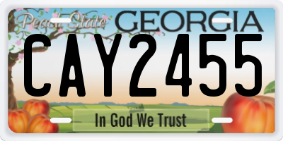 GA license plate CAY2455