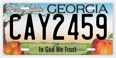 GA license plate CAY2459