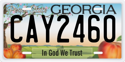 GA license plate CAY2460