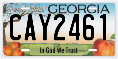 GA license plate CAY2461