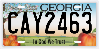 GA license plate CAY2463