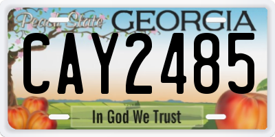 GA license plate CAY2485
